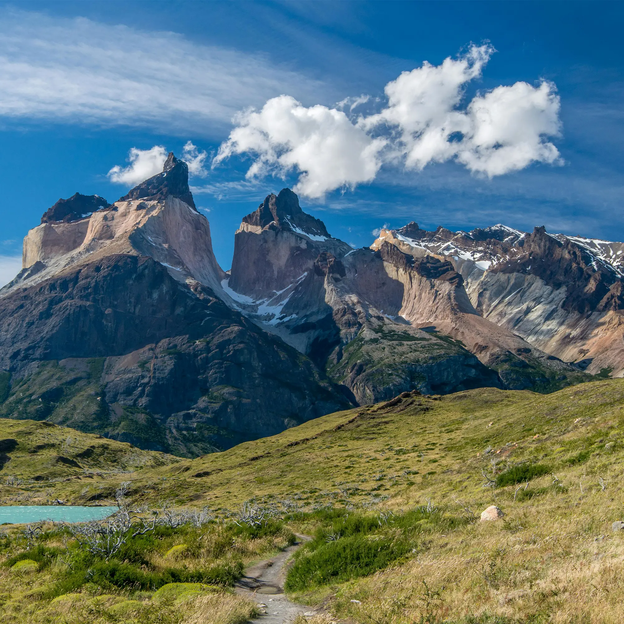 Alta resolución y detalle
