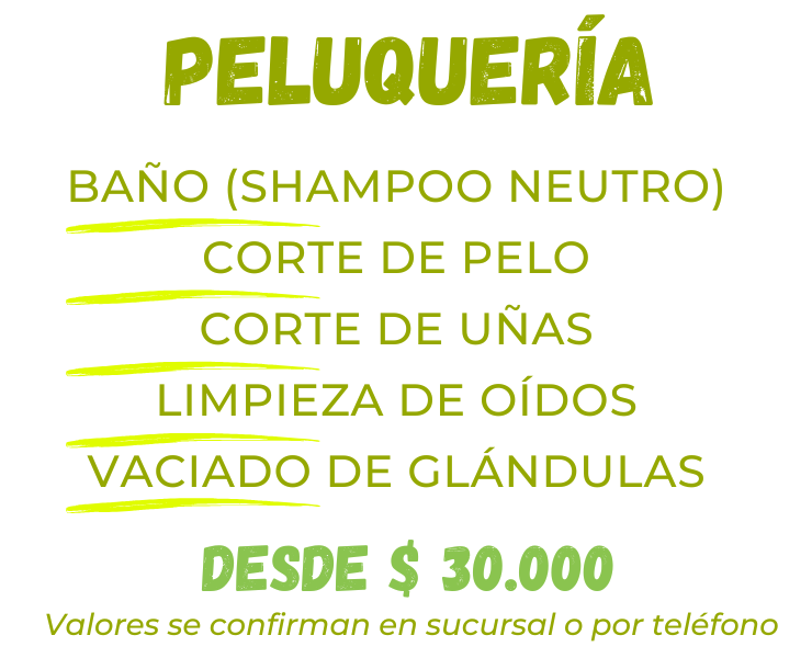 Peluquería Canina