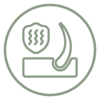 Cabello con Frizz & Encrespamiento