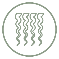 Cabello Rizado