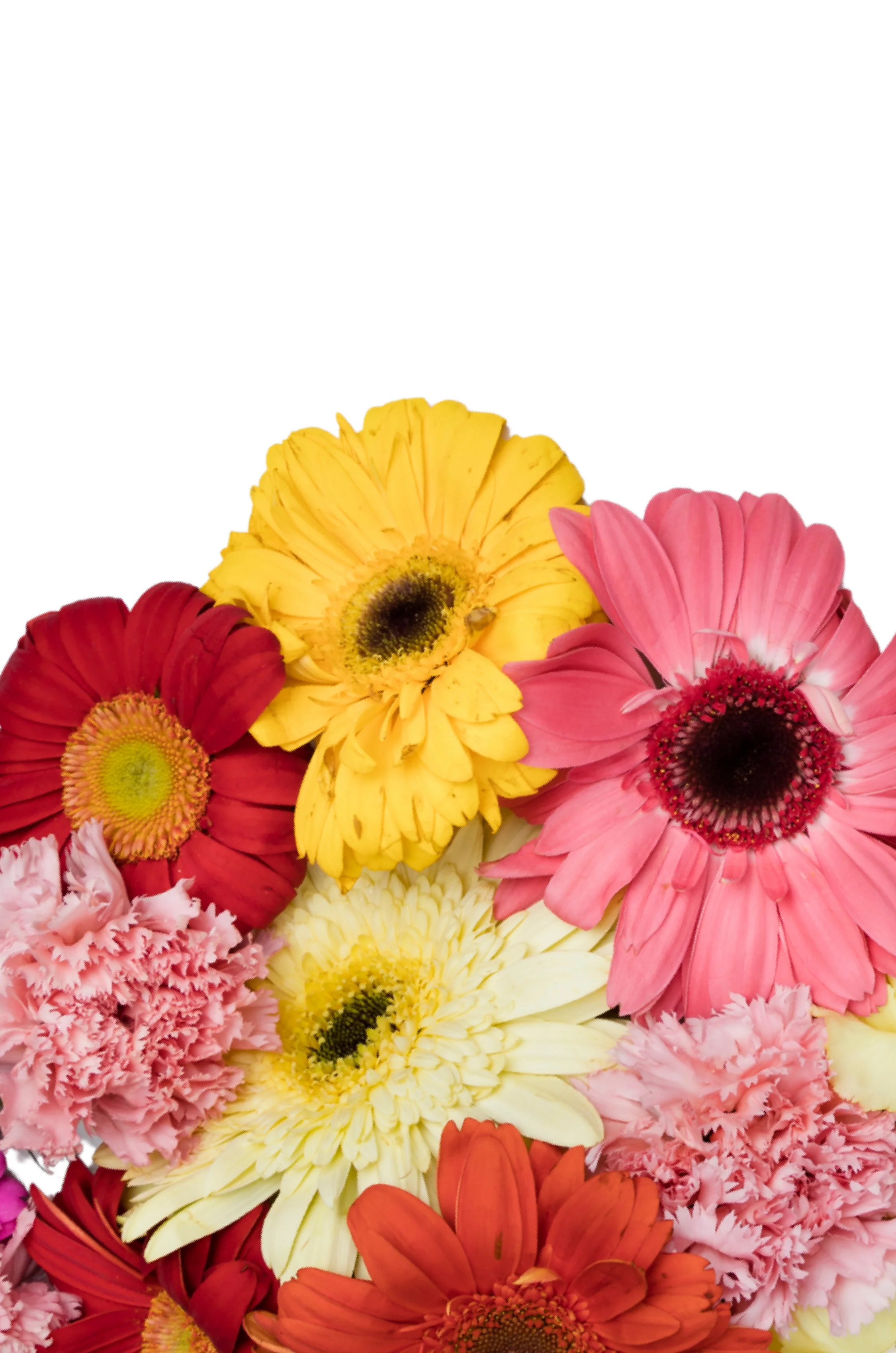 FLORALES