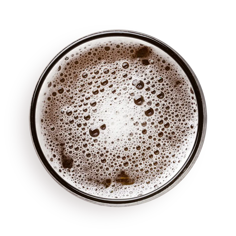 Sakana Sushi Pelluhue