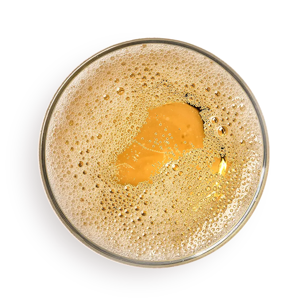 Sakana Sushi Pelluhue