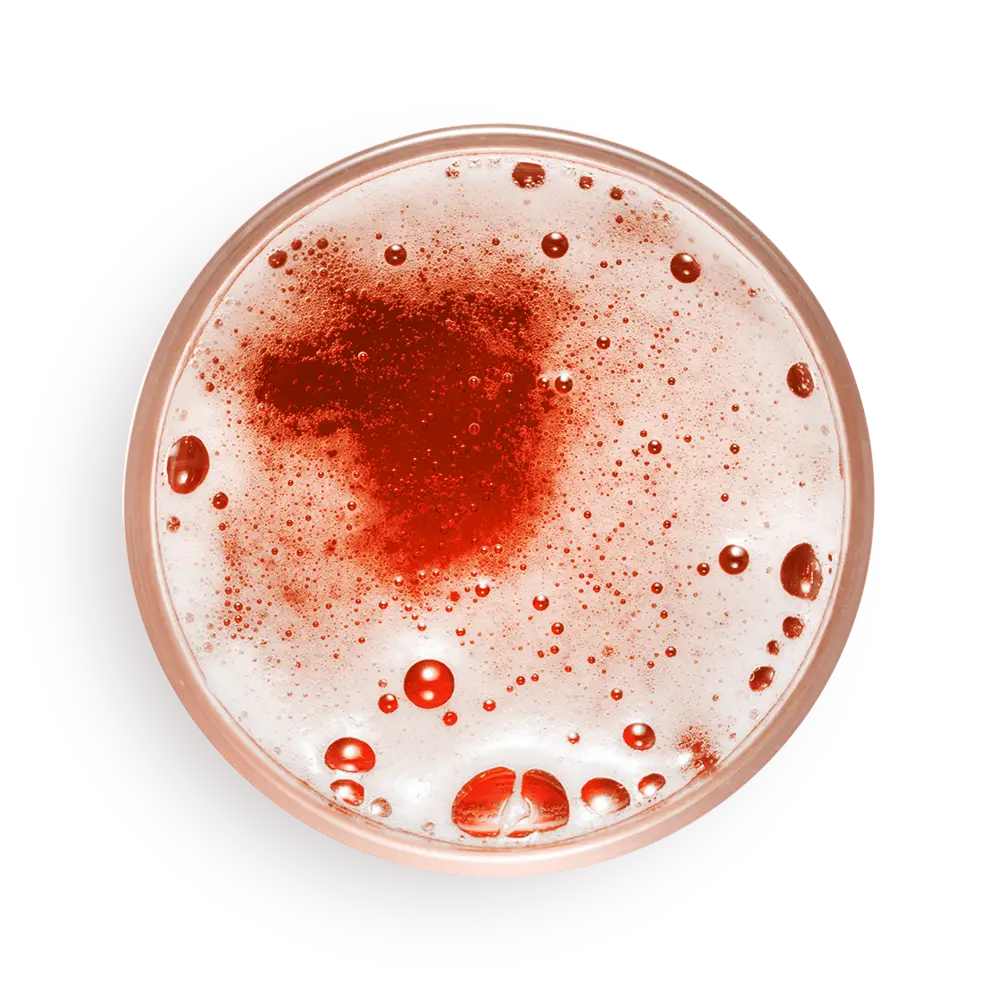 Sakana Sushi Pelluhue