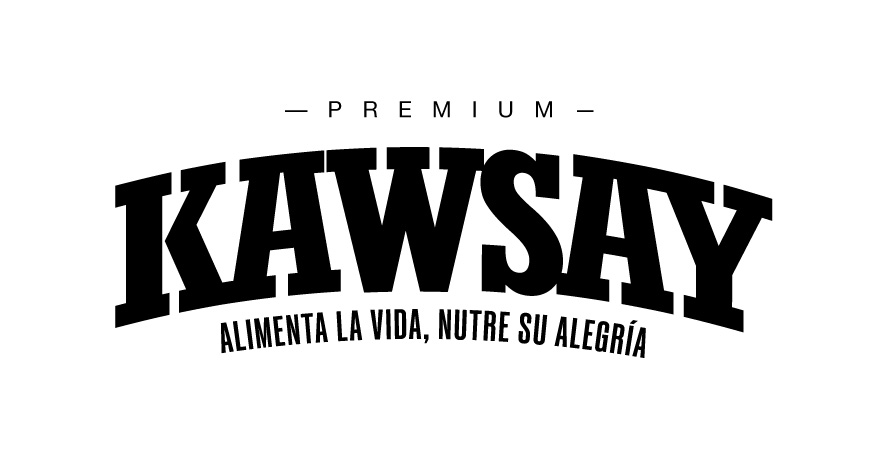 KAWSAY