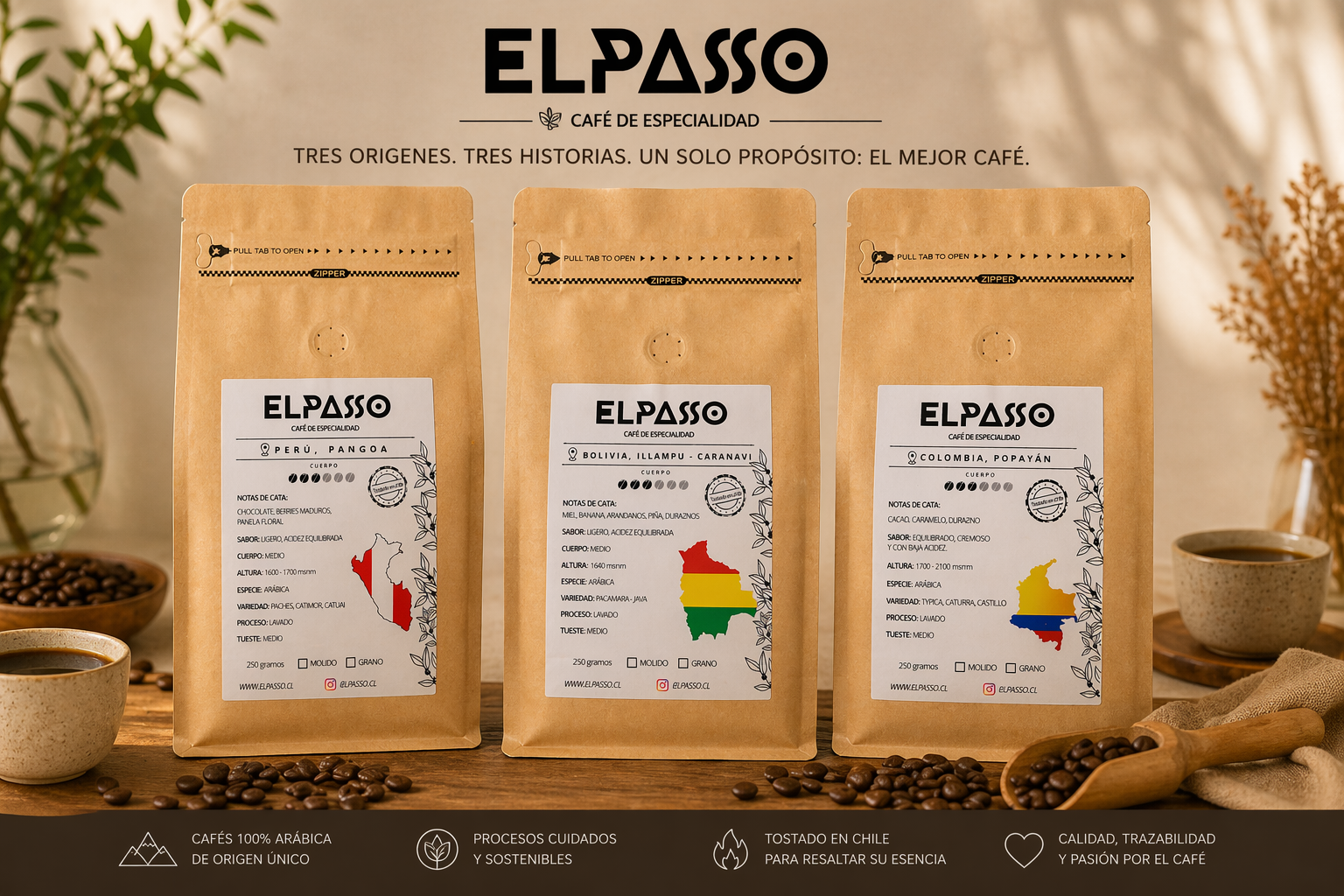 <strong> Conoce nuestros cafés de origen