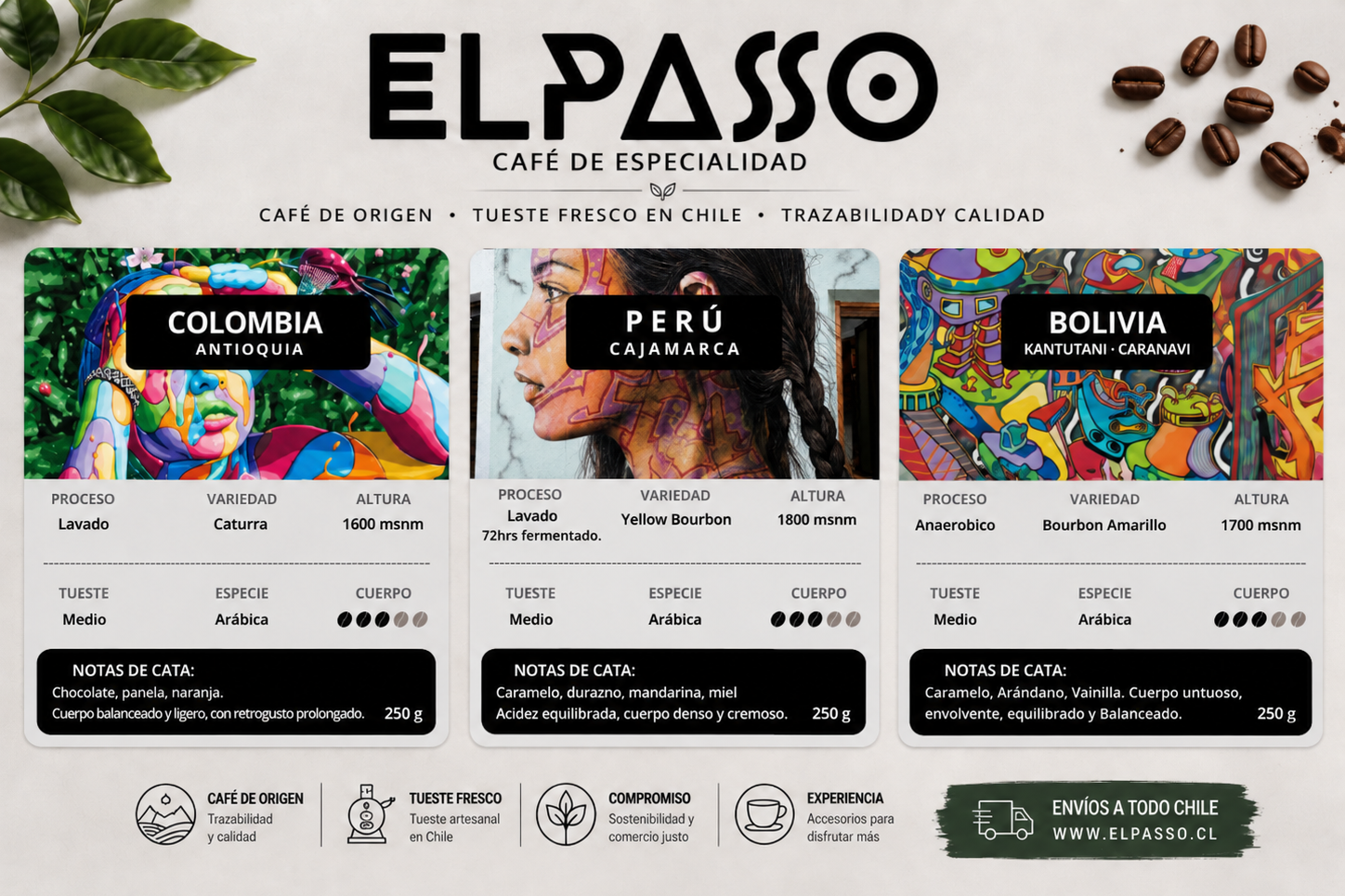 <strong> Conoce nuestros cafés de origen