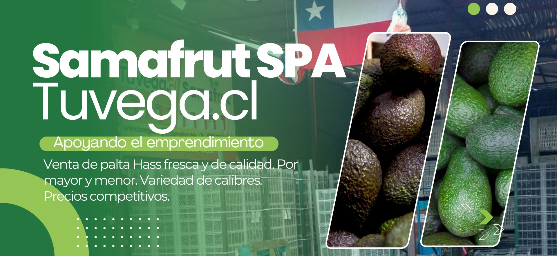 Título de la Sección