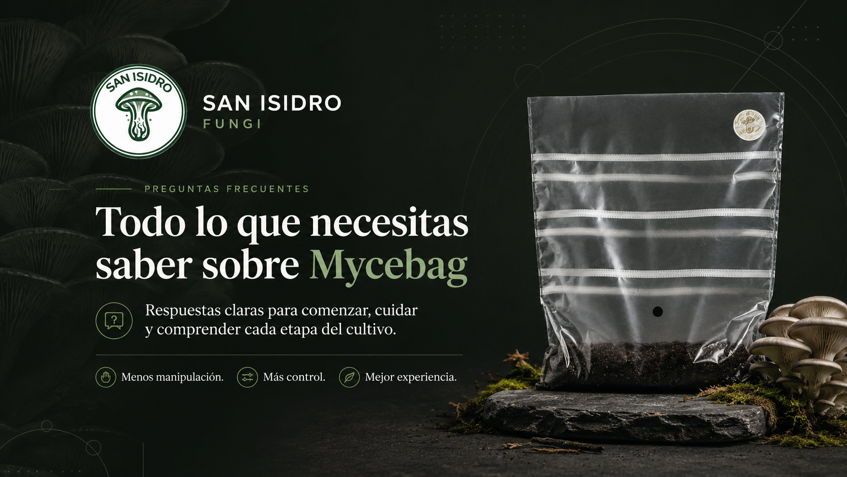 Todo lo que necesitas saber sobre Mycebag San Isidro Fungi
