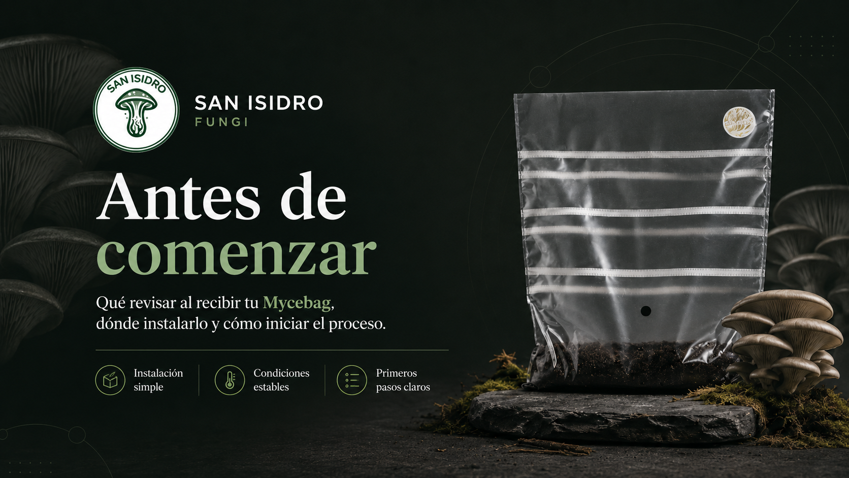 Antes de comenzar con Mycebag San Isidro Fungi