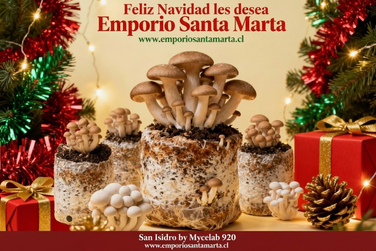 ¡Feliz Navidad  San Isidro!