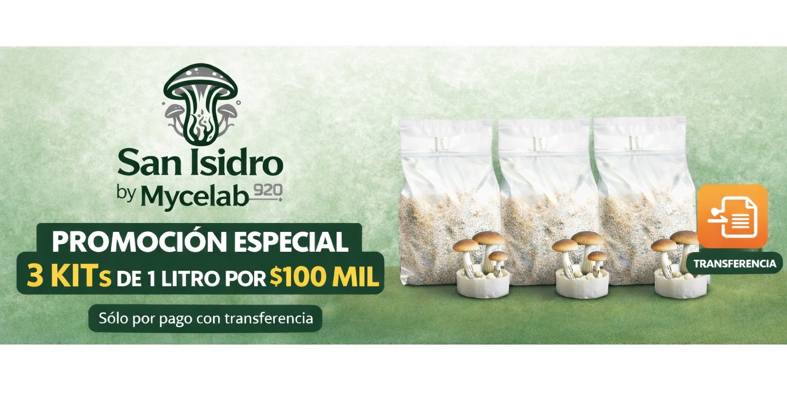 Título de la Sección