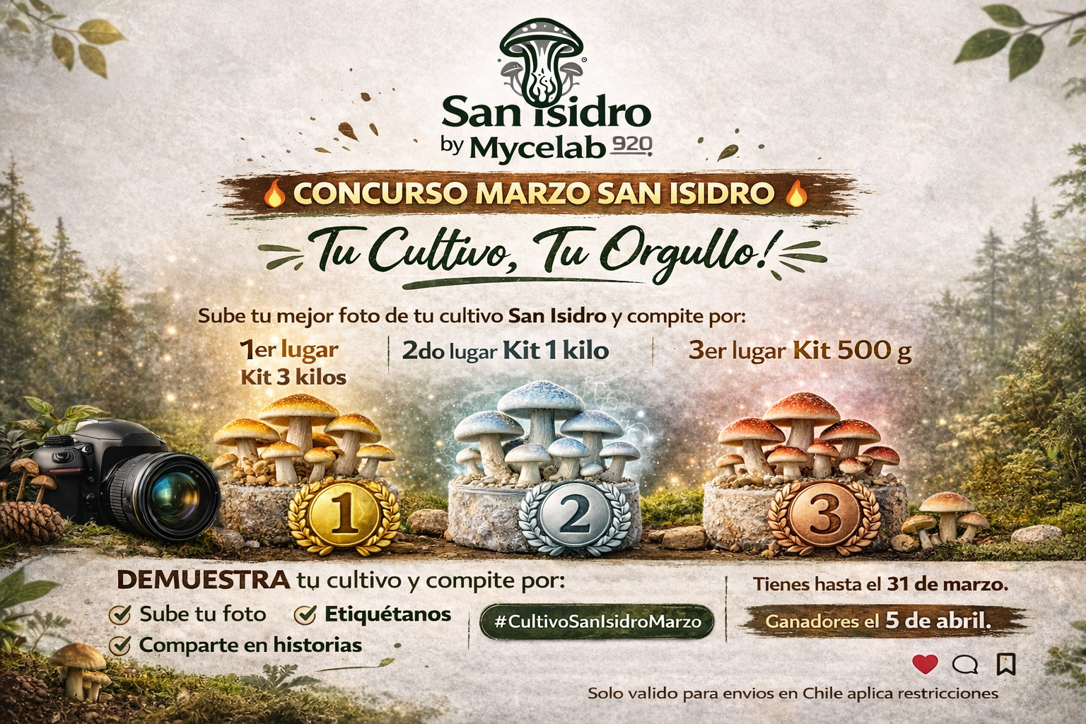 San Isidro by Mycelab 920