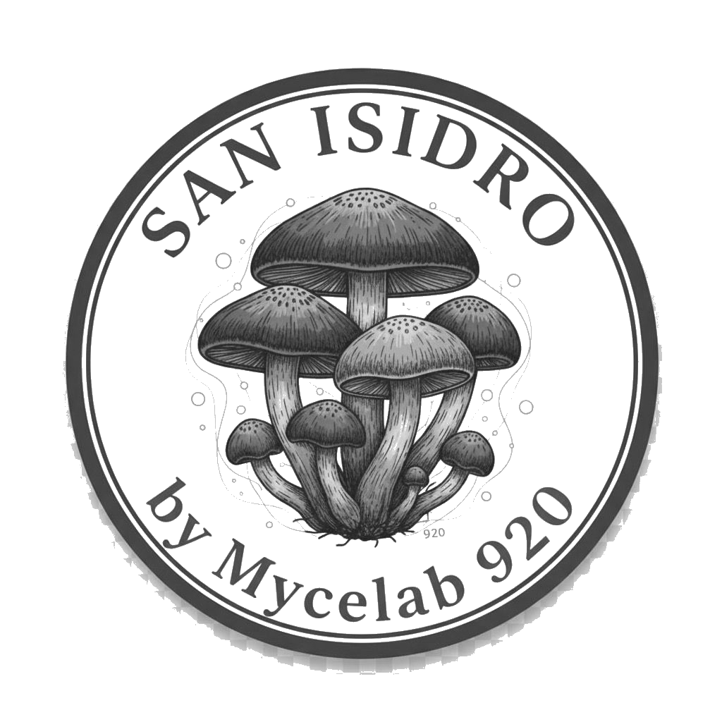 Santa Marta & San Isidro.