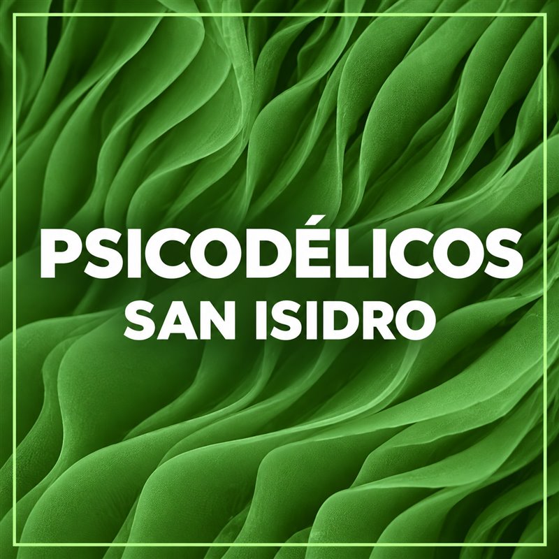 Grupo Psicodélicos San Isidro