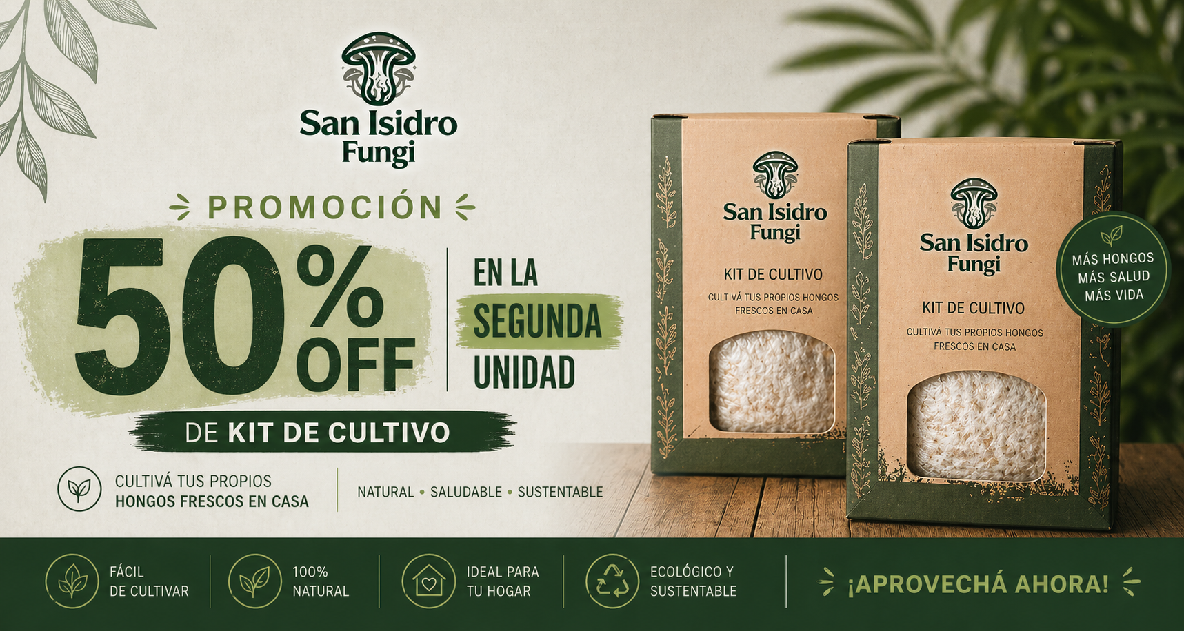 Título de la sección