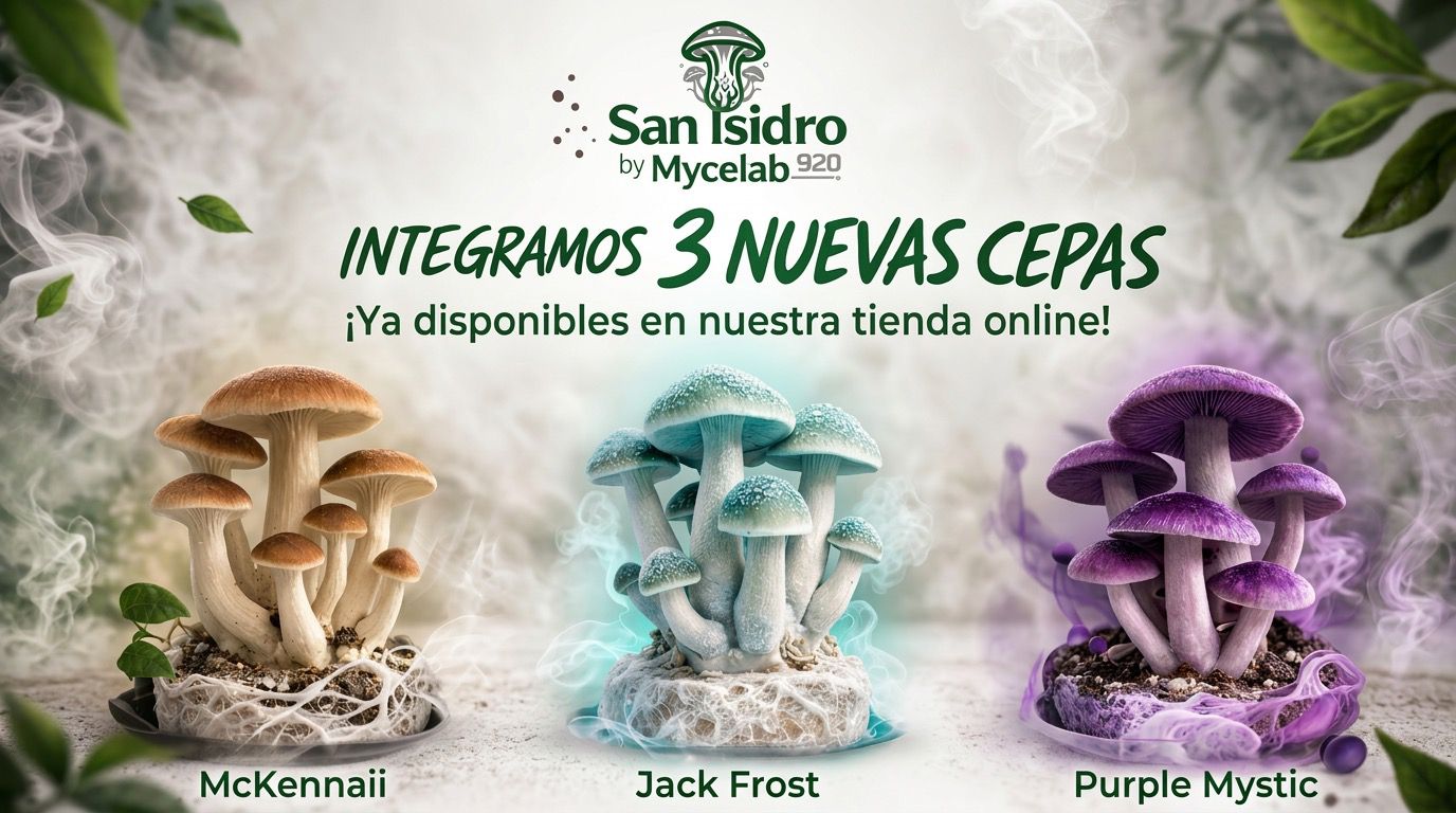 Título de la sección