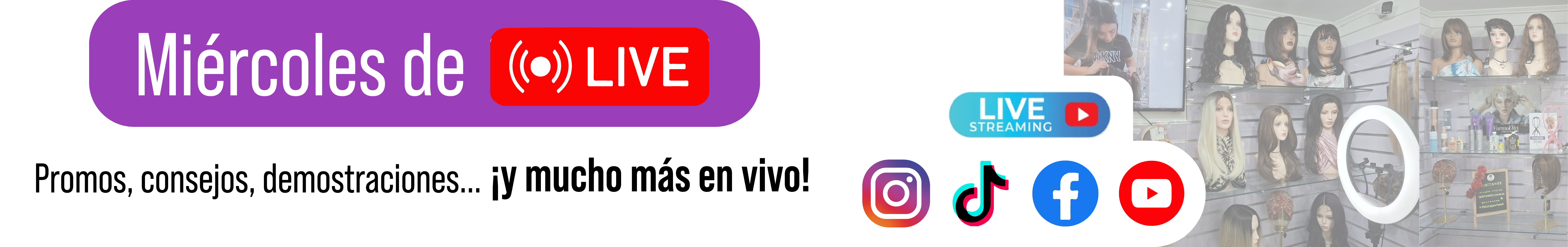 Título de la Sección