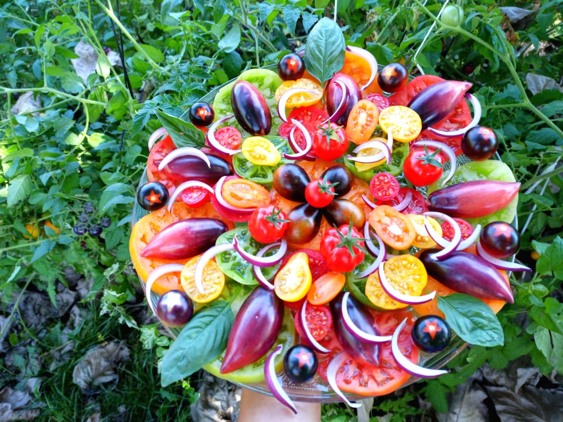 AUTENTICIDAD Y DESPERTAR DE LOS SENTIDOS