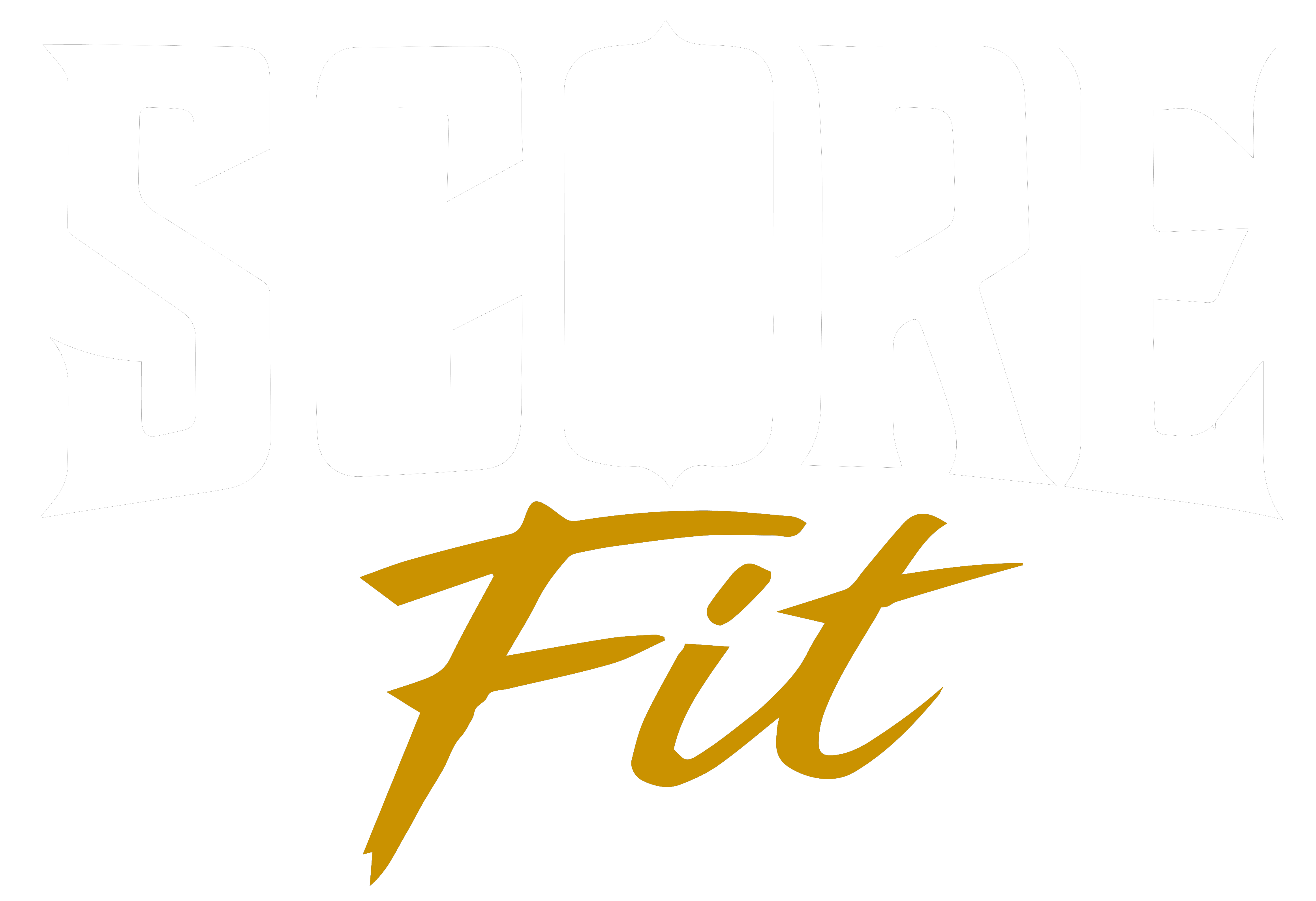 SCORE FIT® Chile | Equipamiento Fitness