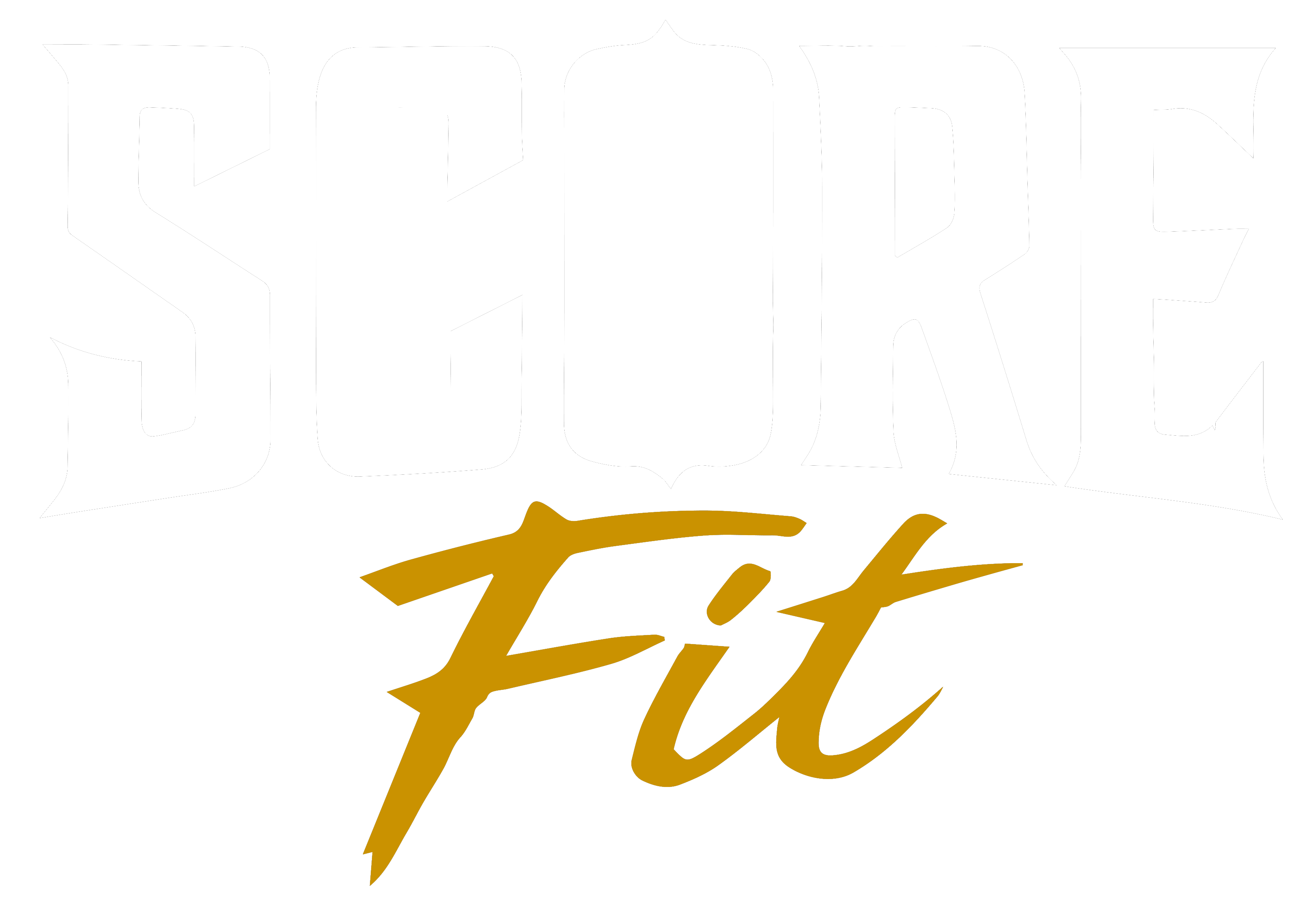 SCORE FIT® Chile | Equipamiento Fitness