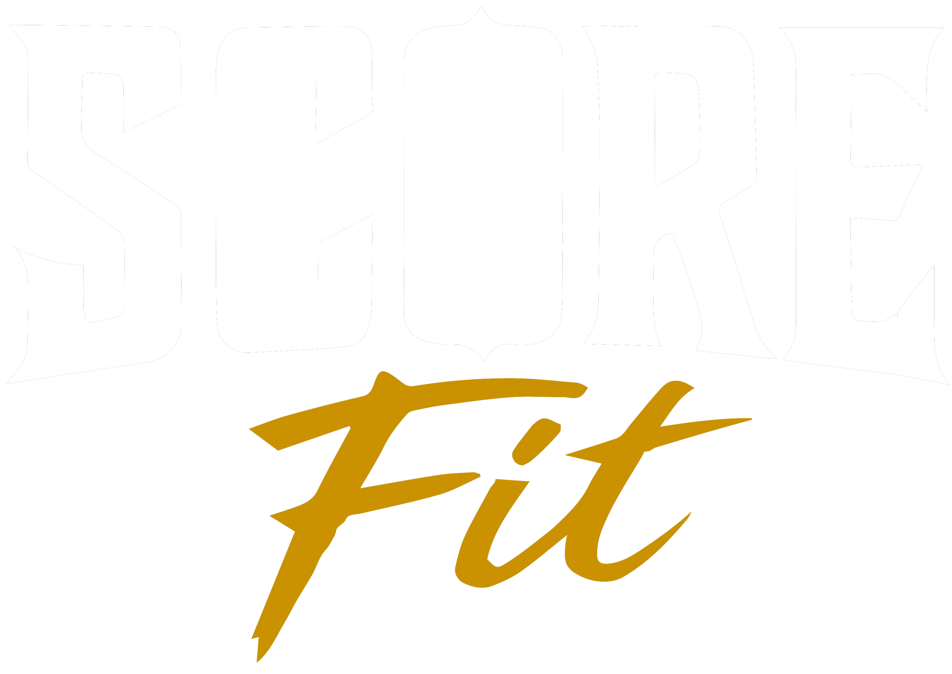 SCORE FIT® Chile | Equipamiento Fitness - Los mejores precios en discos y pesas