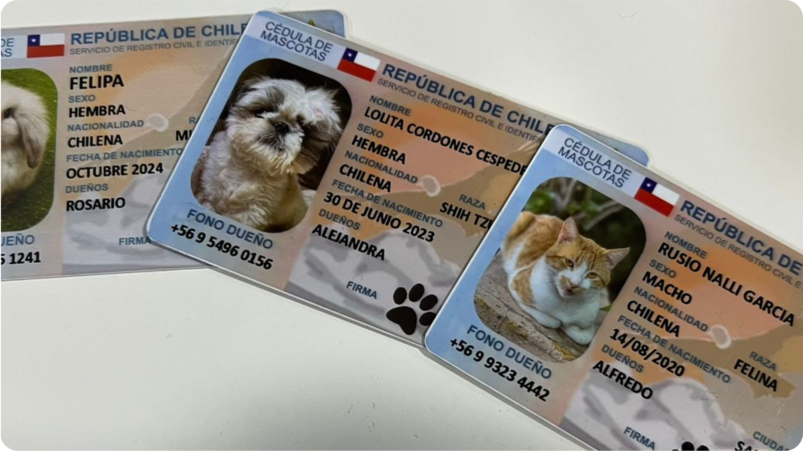 Credencial para Mascotas