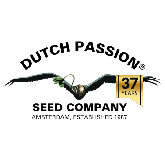 DUTCH PASSION