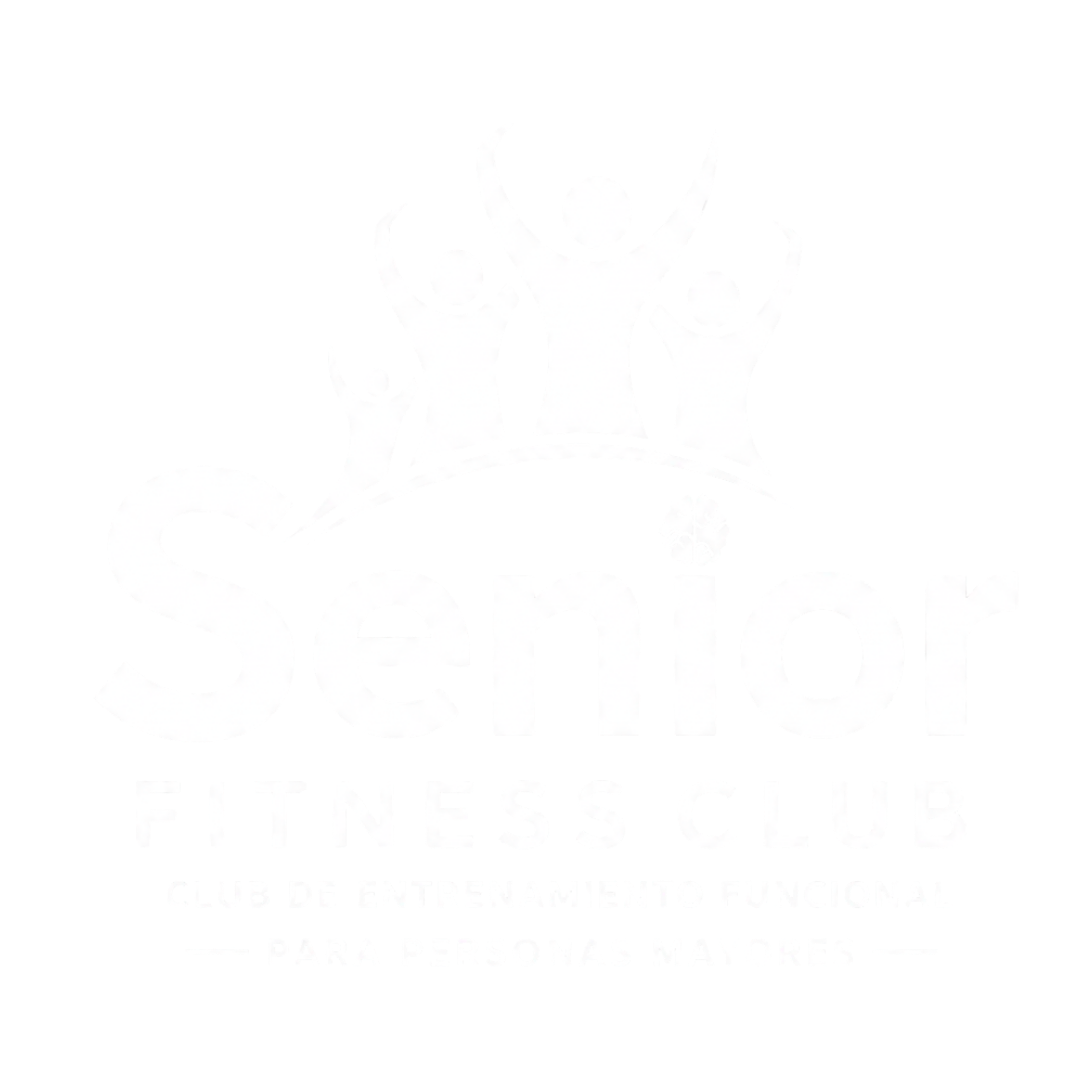 Senior Fitness Club