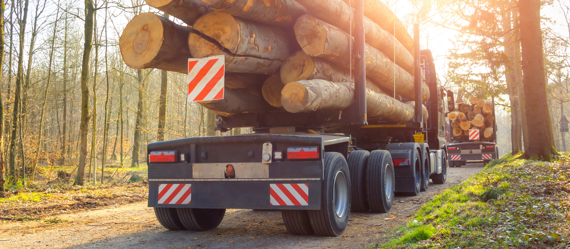 Durabilidad y resistencia al desgaste.