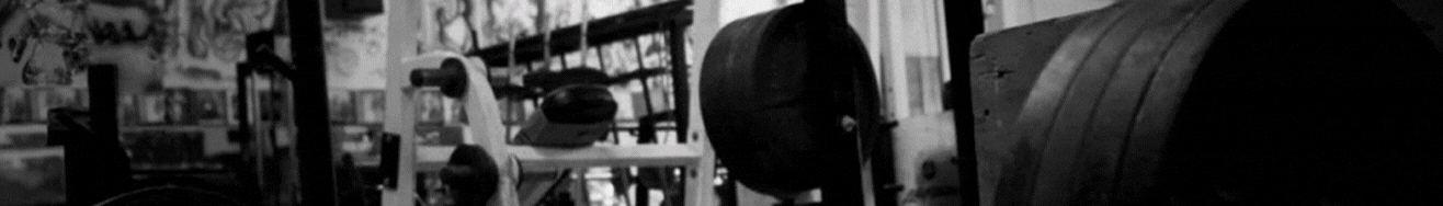 Título de la Sección