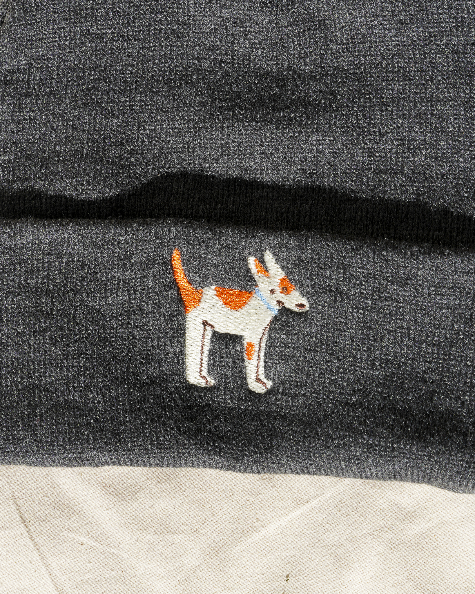<b>Beanie Jack 🐕</b>
