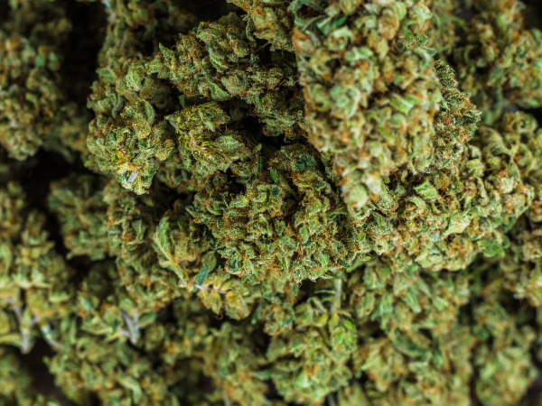 Produtos Certificados e Farmaceuticamente Aprovados