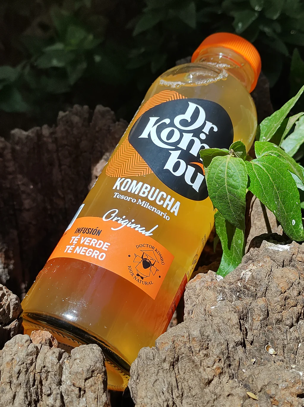 <i>Cuida tu salud intestinal con Dr. Kombucha</i>