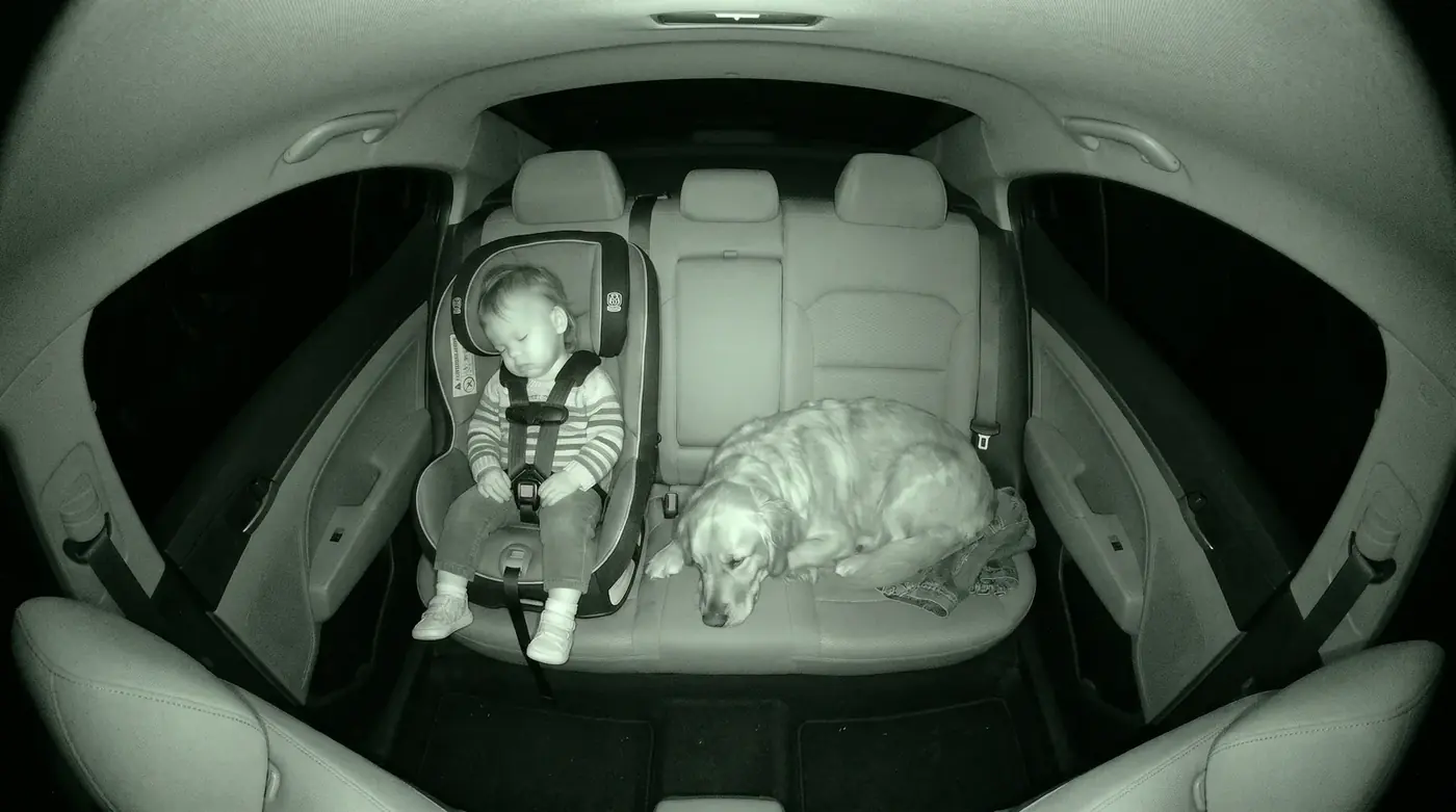 La misma vista de noche en infrarrojo: el niño duerme y el perro descansa