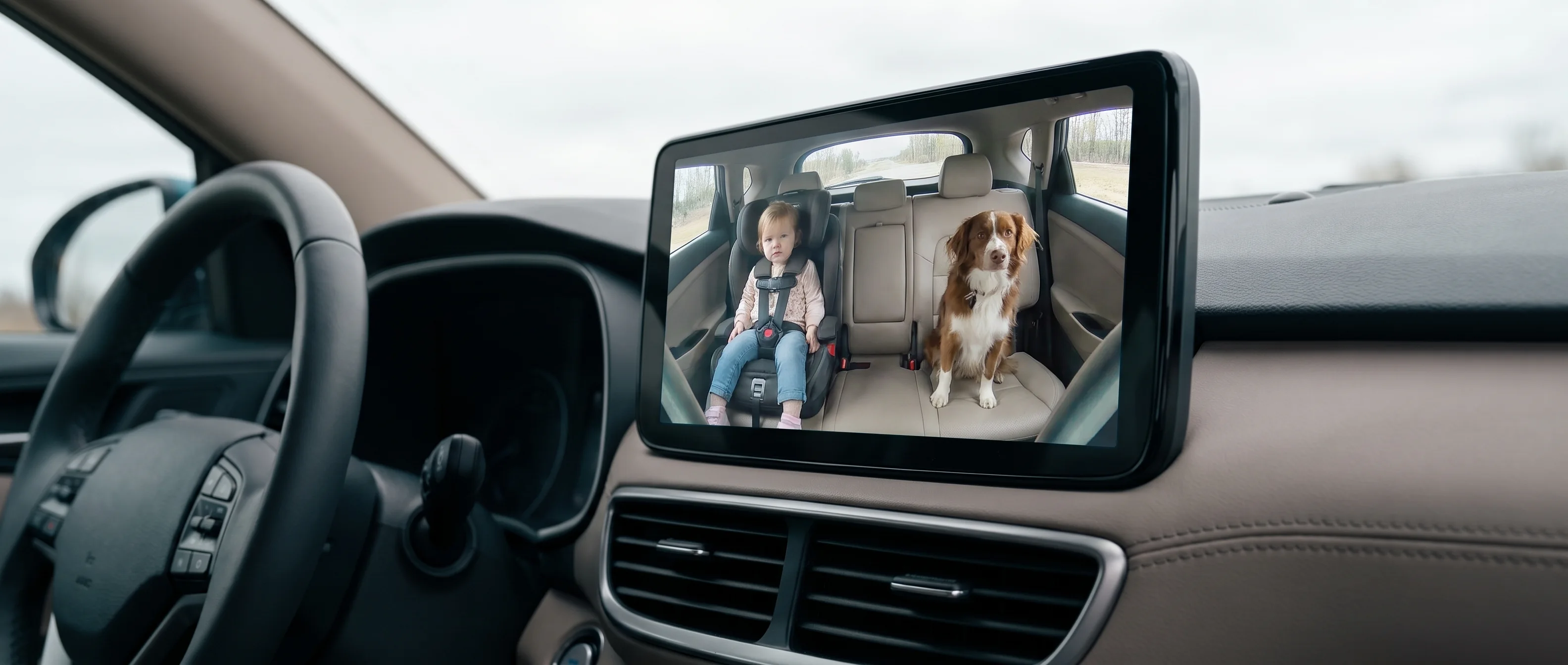Pantalla del auto mostrando la vista de la cámara del asiento trasero a pantalla completa, con una niña en su silla y un perro