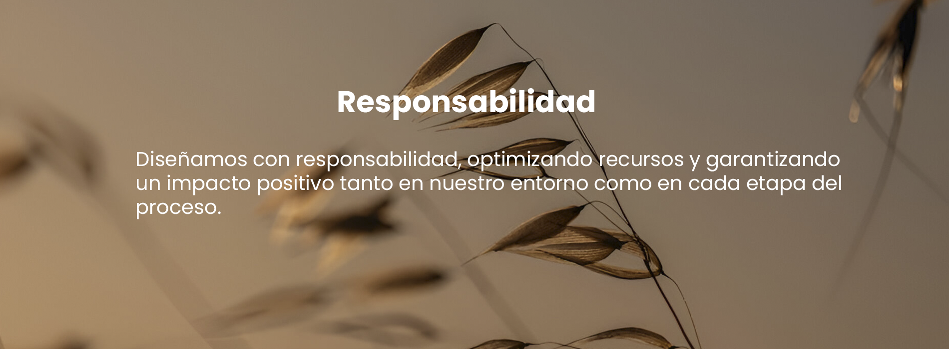 Título de la Sección