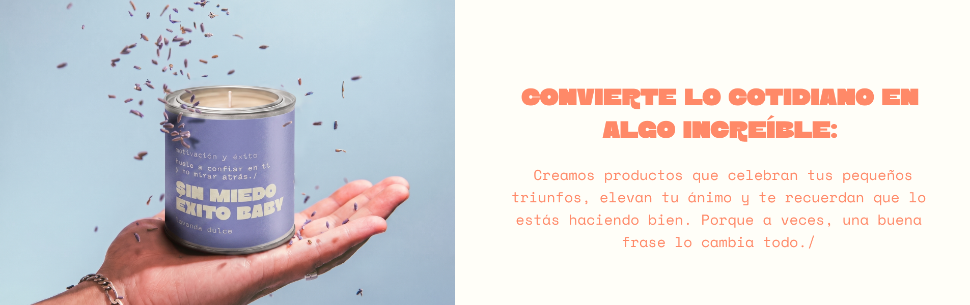 Título de la Sección