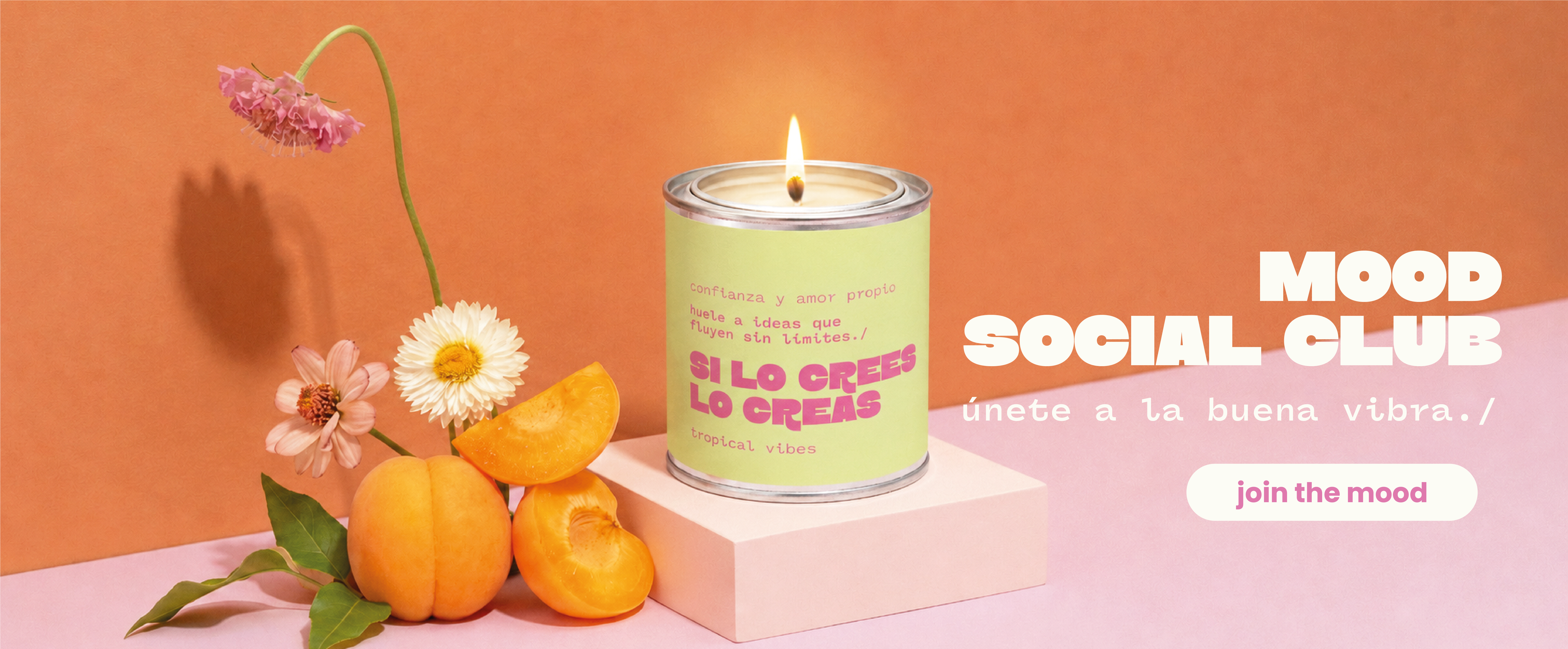Título de la Sección