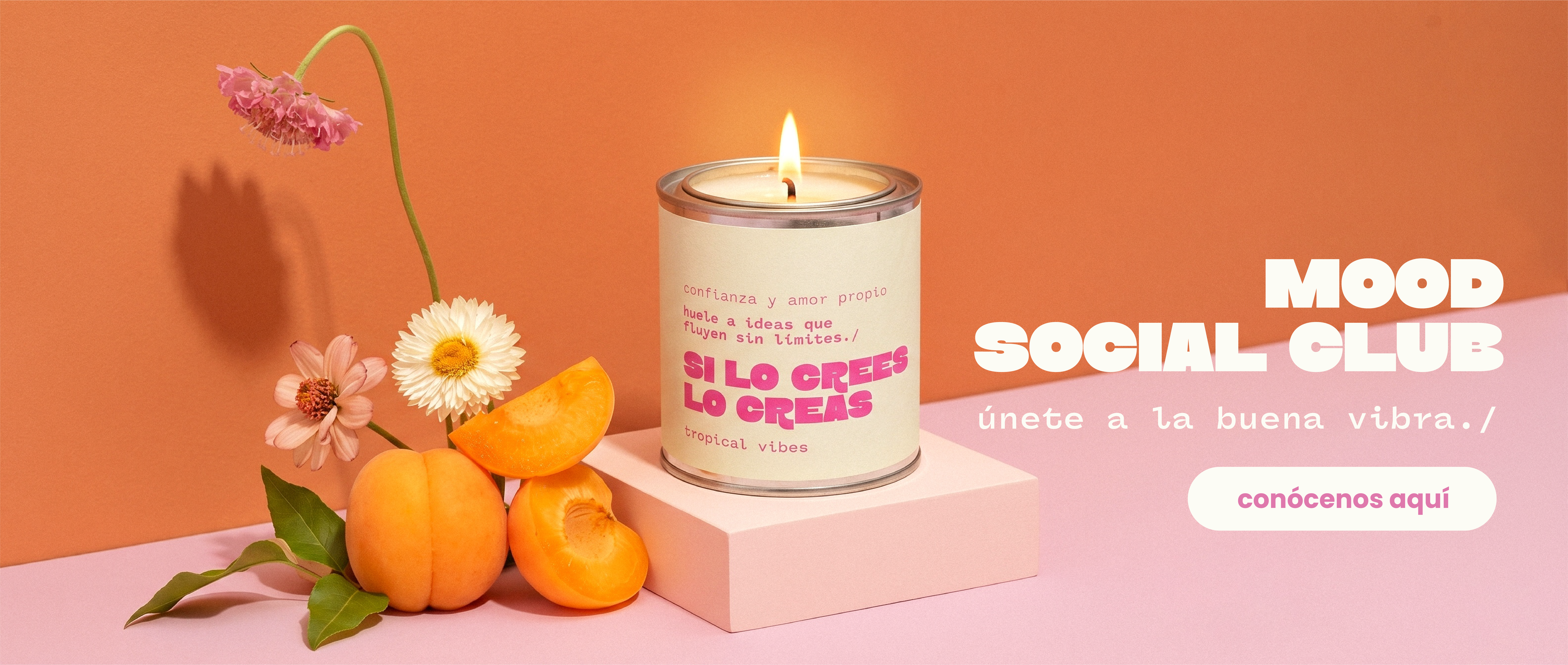 Título de la Sección