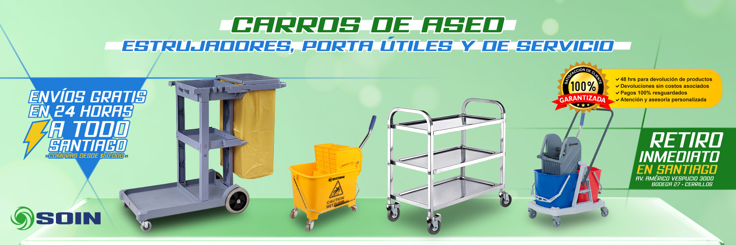 SOIN - Envíos Gratis en Santiago