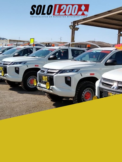 ATENCION ESPECIAL Y PERSONALIZADA A EMPRESAS<br><sub>NUESTRA PRIORIDAD, ES SU EXITO, SI SE TRATA DE REPUESTOS <br>SOMOS SU PARTNER</sub><br>