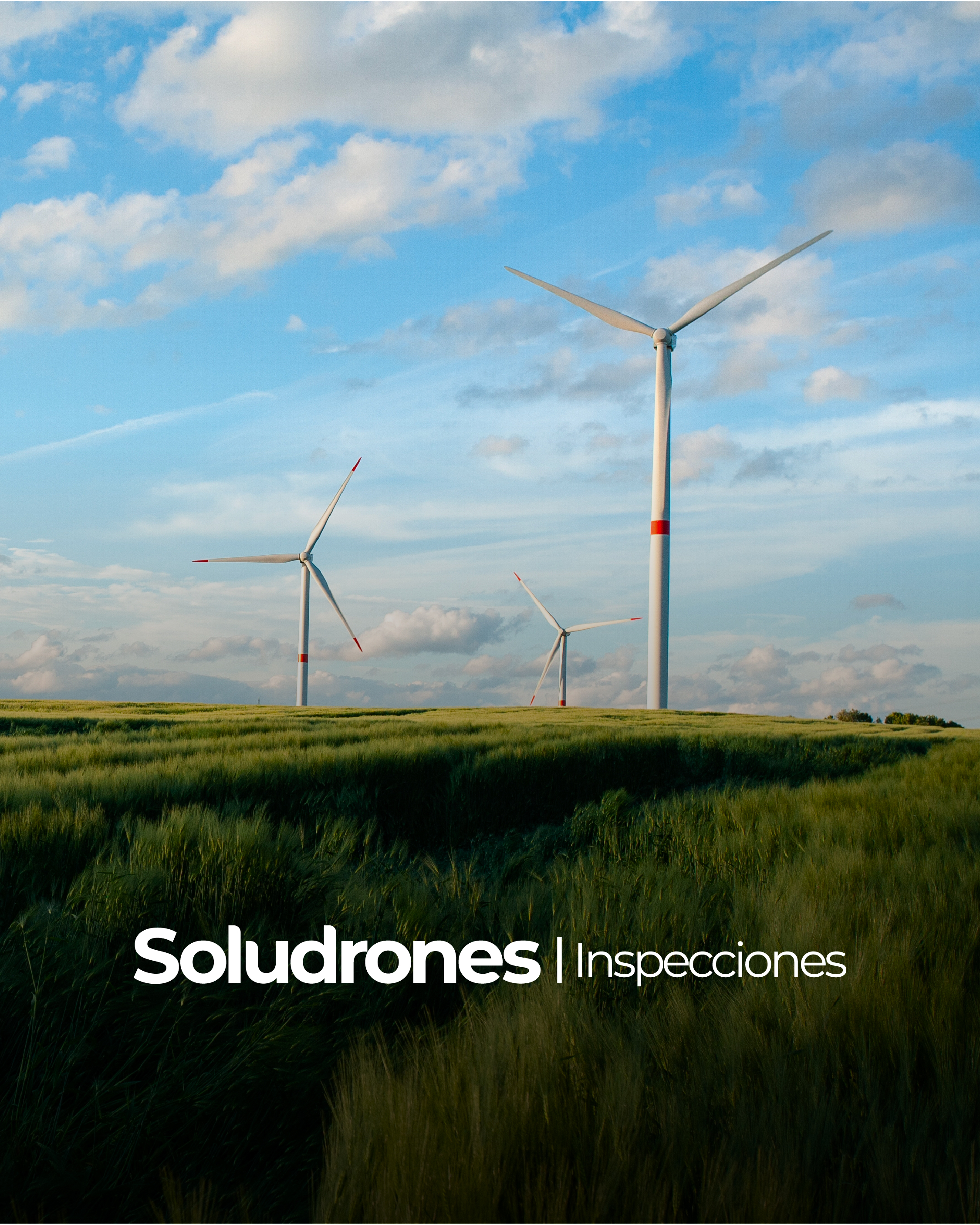 Inspecciones Aéreas