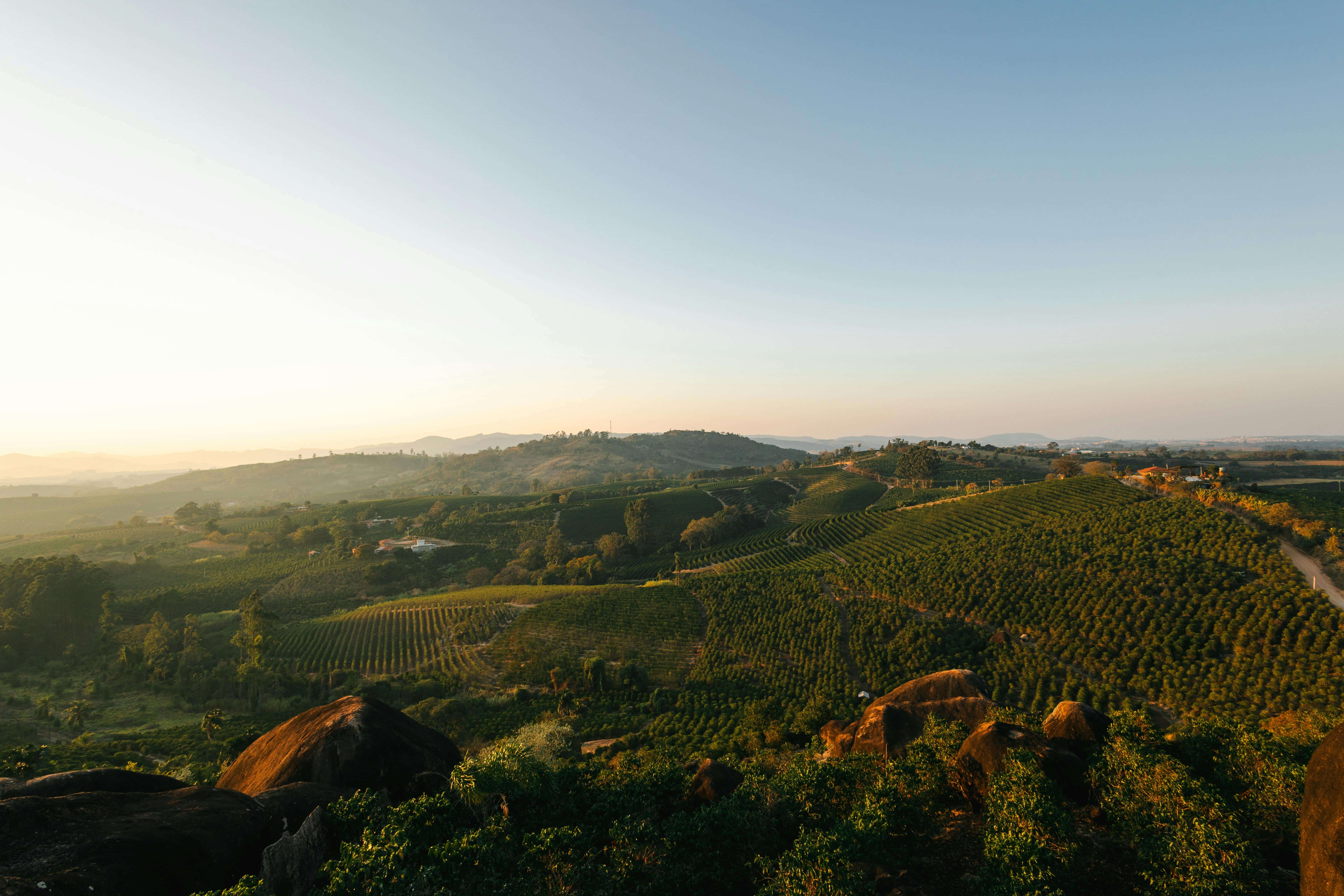 Handpicked For You<br>