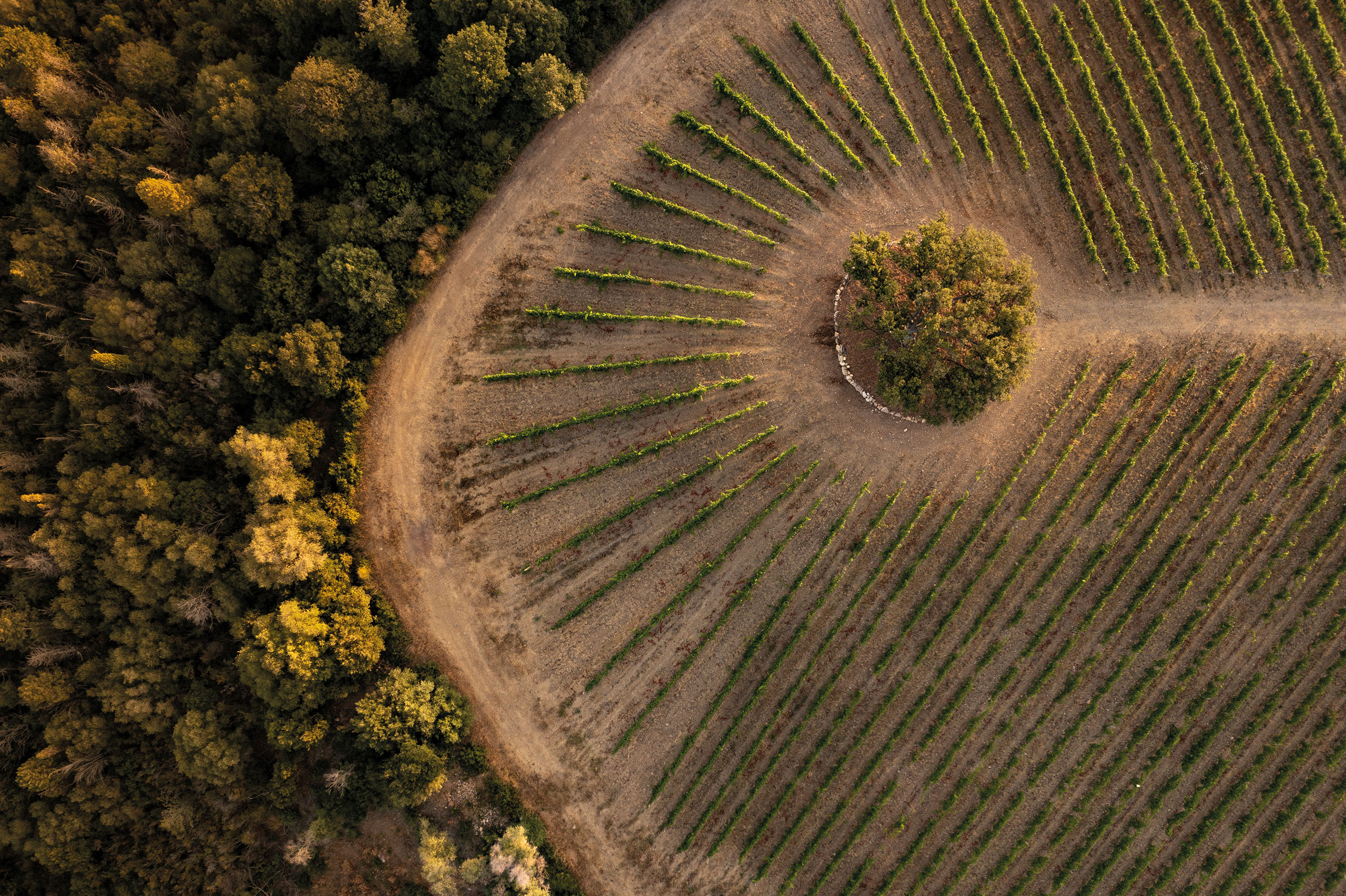 Handpicked For You<br>