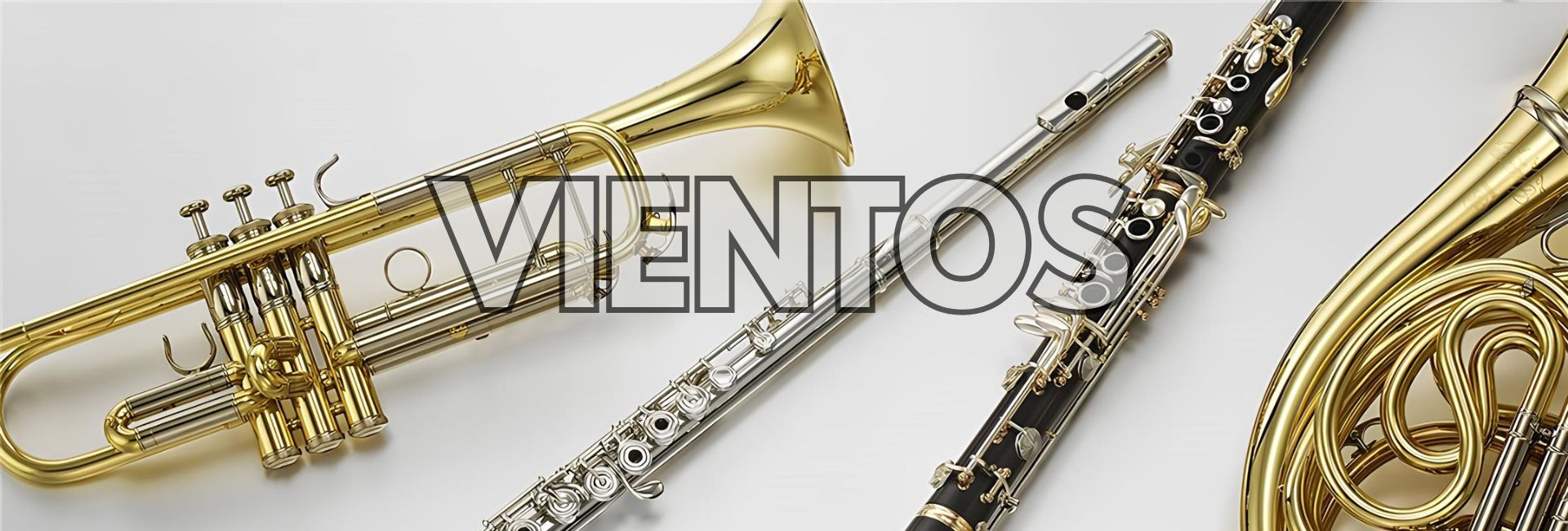 Instrumentos de Viento