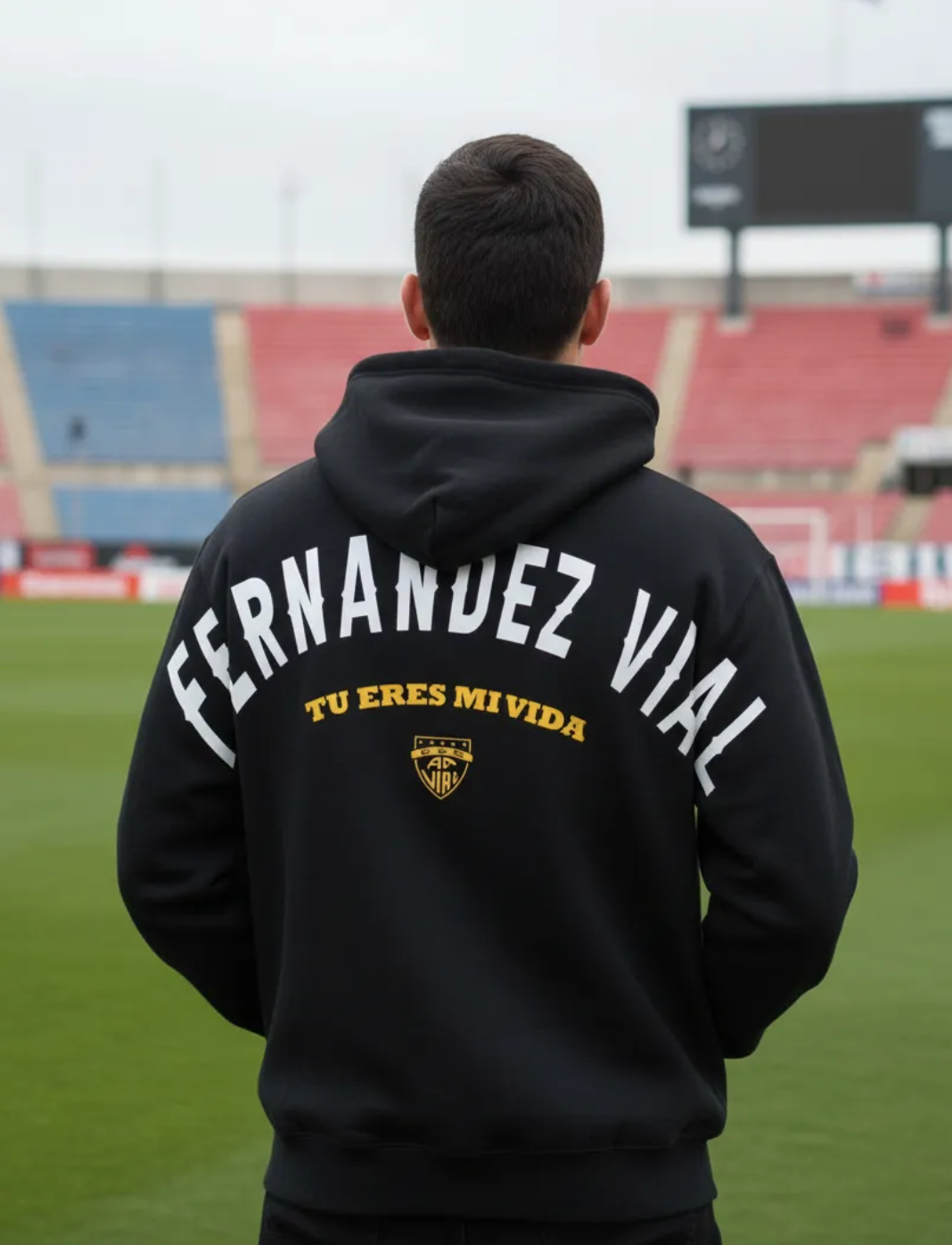 Fernández Vial