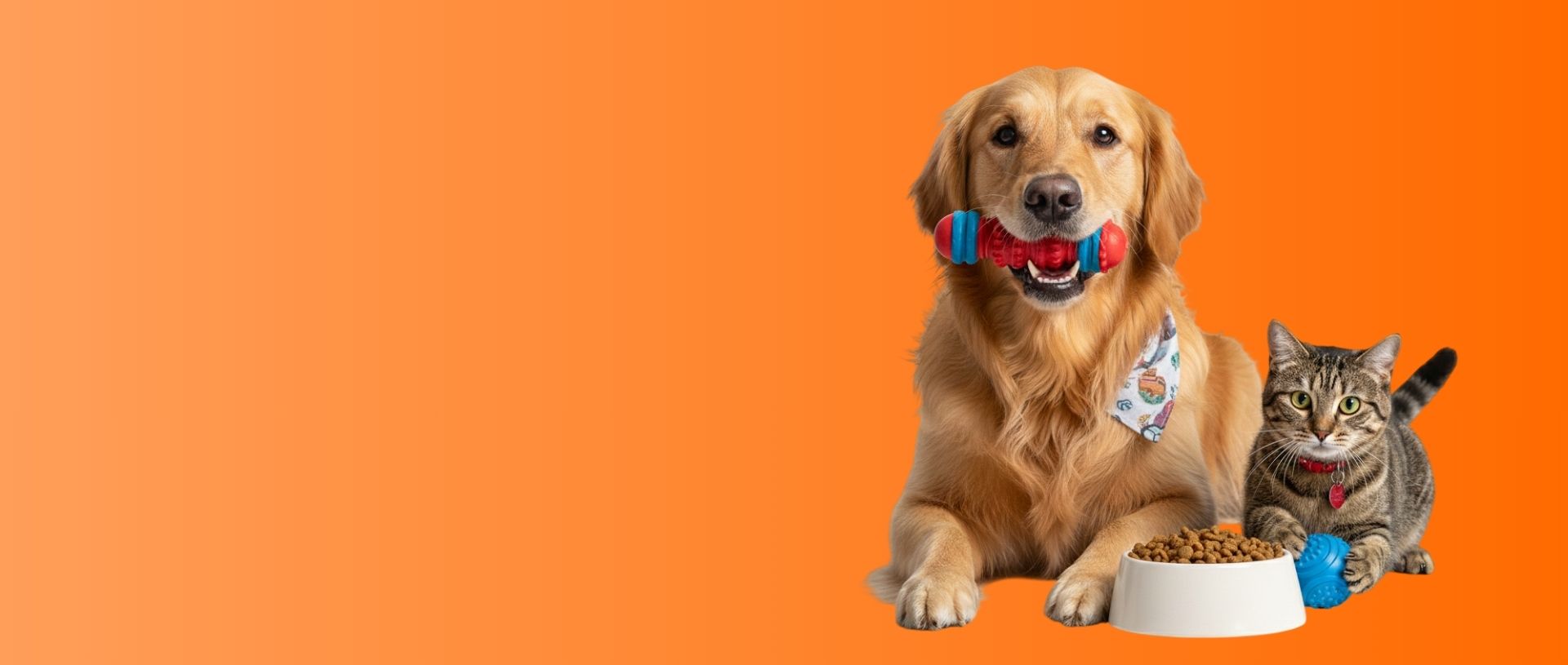 Slide-Stylopets-accesorio