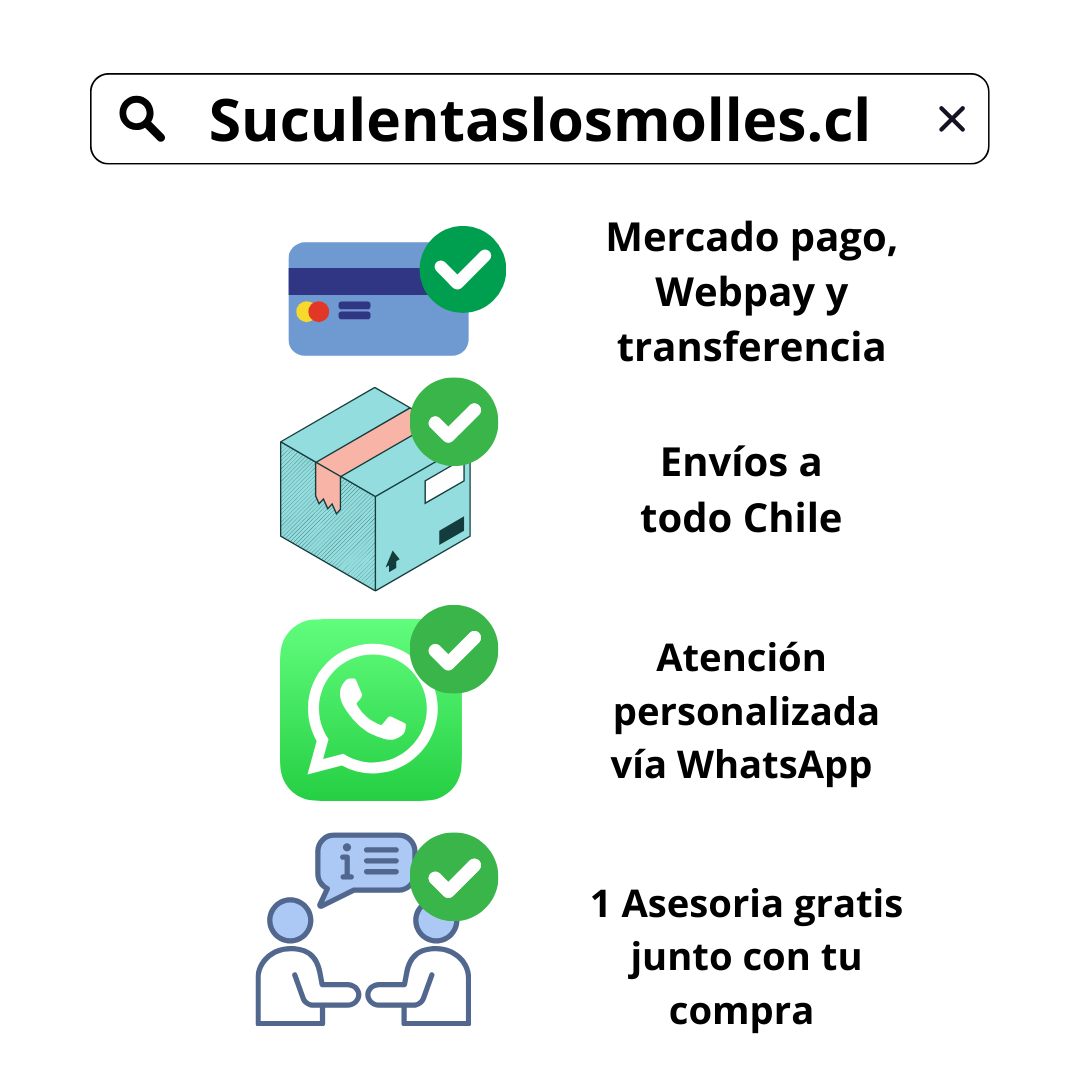 Atención 100% personalizada