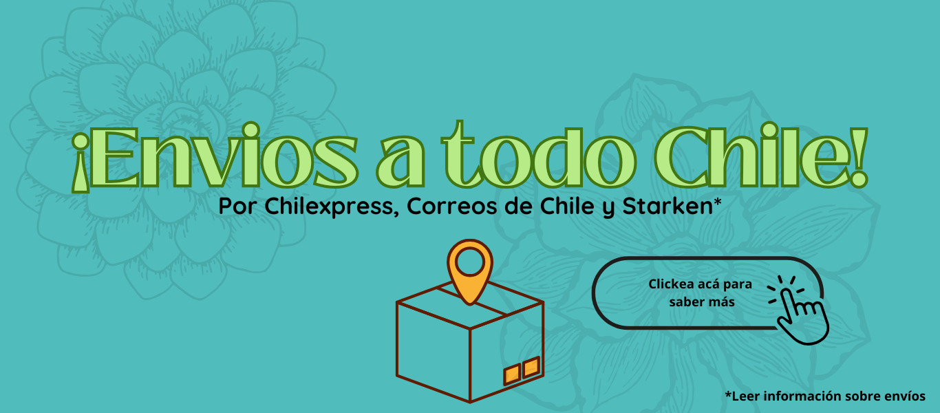 Título de la sección